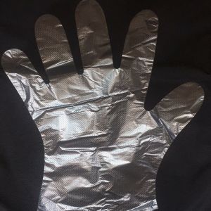 Disposable Clear Plastic PE Gloves