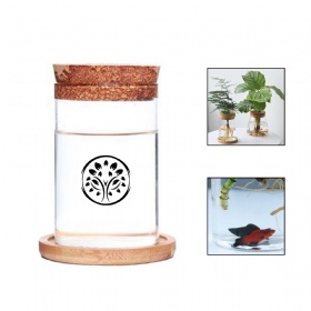 Glass Planter Hydroponic Plant Vase Fish Bowl